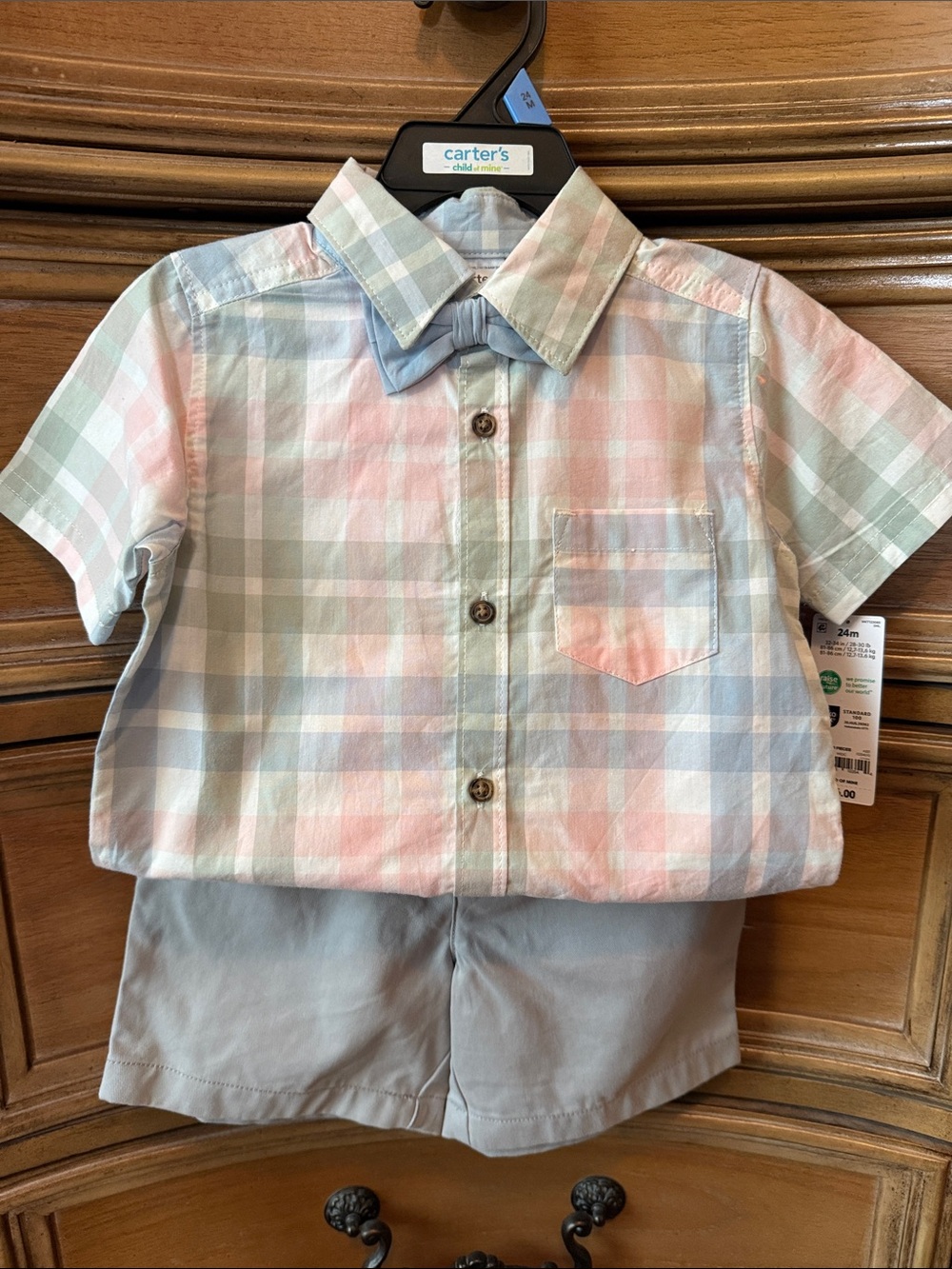Carter's Pastel Plaid Button-Down Shirt with Light Blue Bow and Shorts